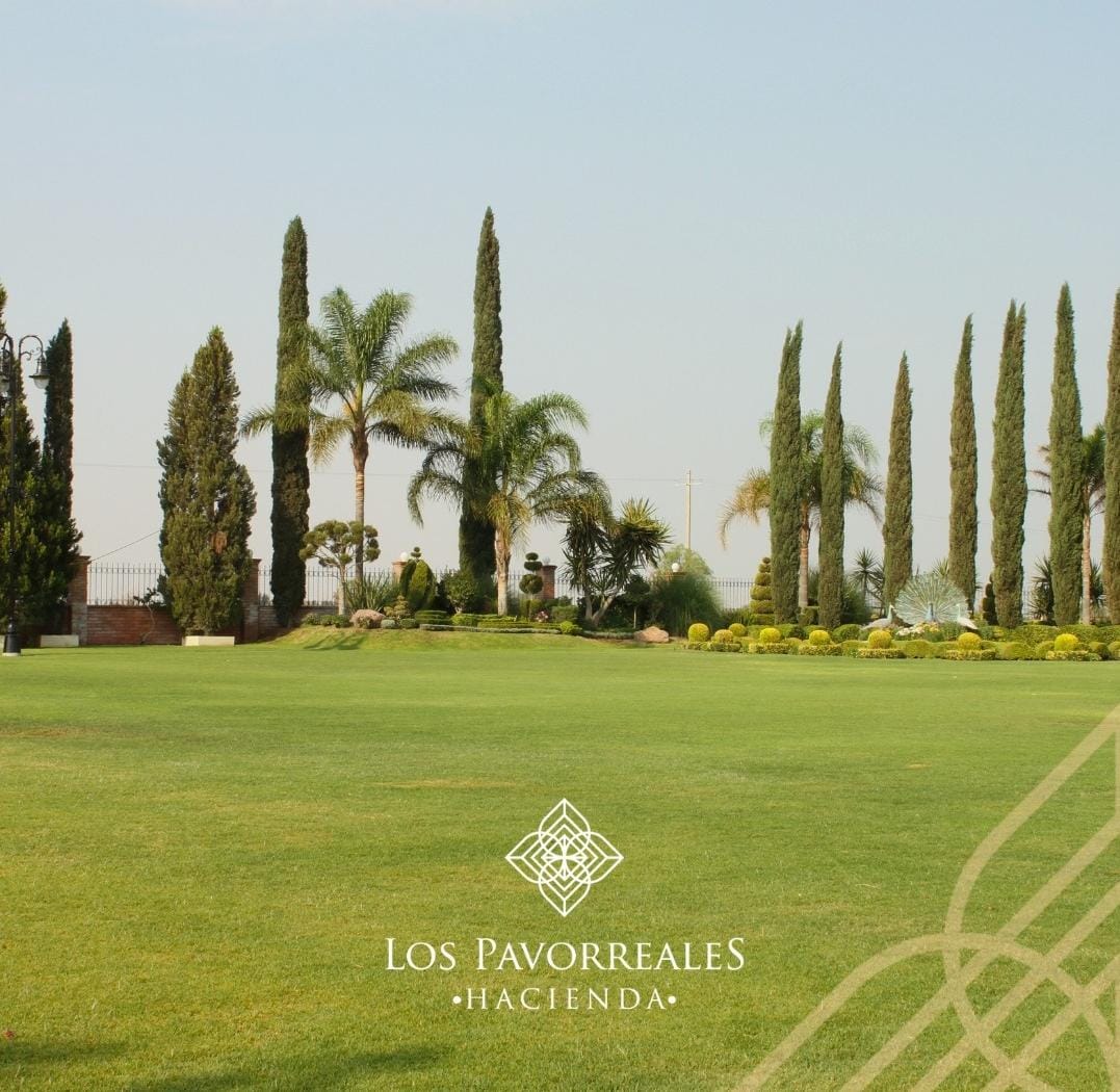 Foto de Hacienda Los Pavorreales